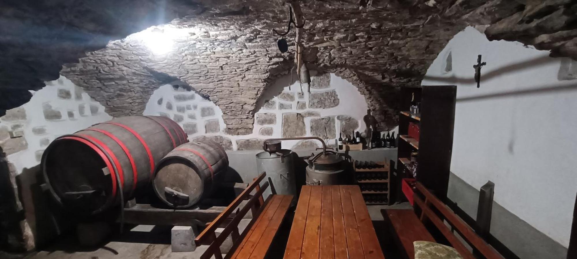 Homestead - Domacija - Nabergoj Podnanos Exteriér fotografie