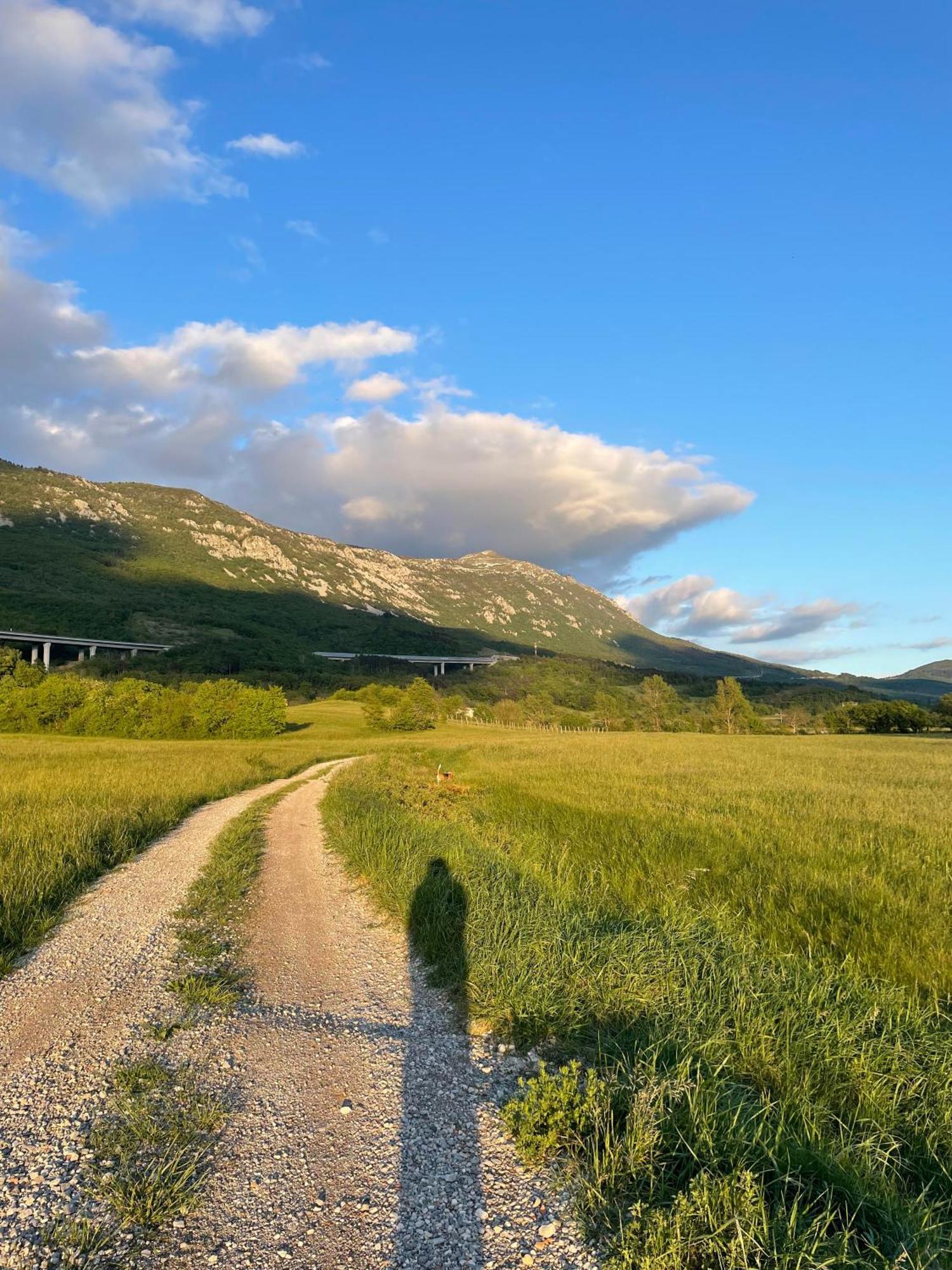 Homestead - Domacija - Nabergoj Podnanos Exteriér fotografie